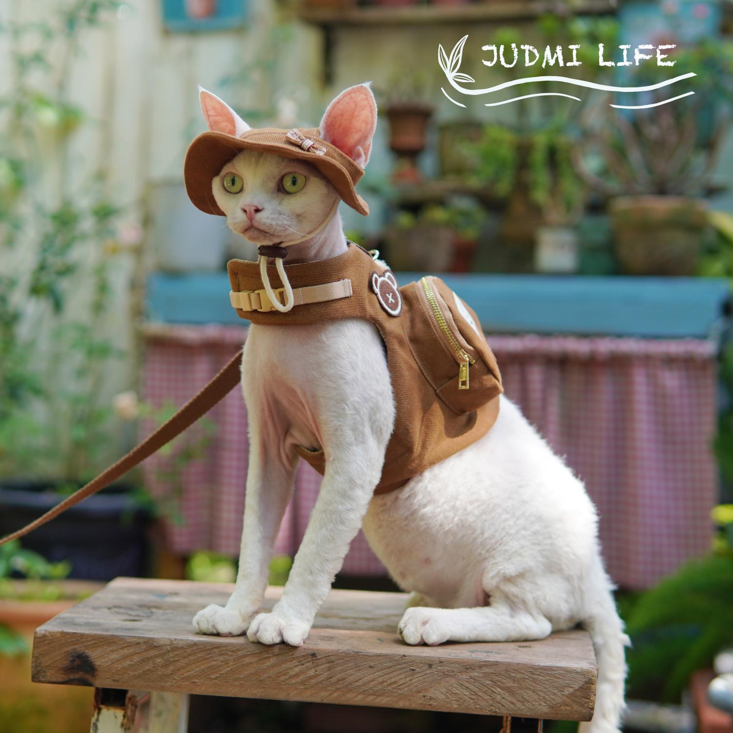 Luxury Travel Devon Cat Carrie - Luxury Bags Cute ulasan dan harga